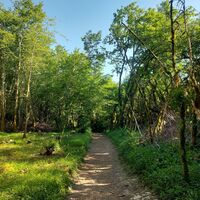 Chemin du Lac d'Armaille