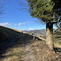 Rastbankerl mit Schneebergblick