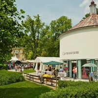 Curmuseum
