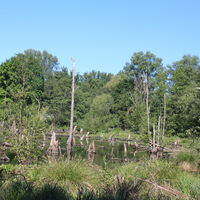 Brüggen - Schwalmpanorama