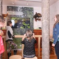 Interaktive Ausstellung