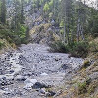 Unten am Prügelbach Blick Richtung Südosten. Links am Hang ist schon der Aufstieg zum Mittelberg sichtbar. Dieses kurze "Wegstück"  wäre dann auch das einzige der ganzen Tour, die Spuren verlieren sich dann kurz danach im Wald.