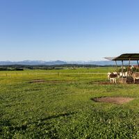Eschers Unterallgäu Eselhof Allinger