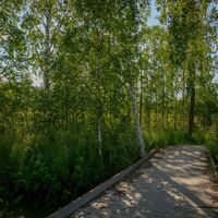 Nordic-Walking-Strecke