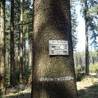 nahe Neuwaldhäusl