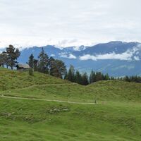 Die letzten Meter vor dem beliebten Einkehrpunkt Steinalm.
