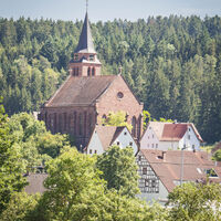Ansicht Horgen mit Kirche