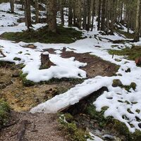 0.9 km Romantisches Brücklein