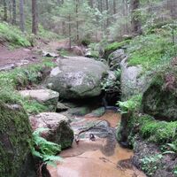 Haugschlag - Gmünd