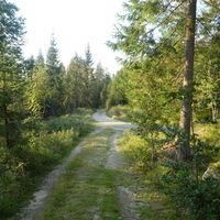 Rückweg zum Parkplatz