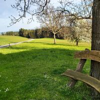 Am Hammersberg, Oststeiermark