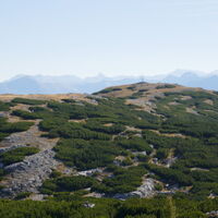 Rückblick zum Nazogl