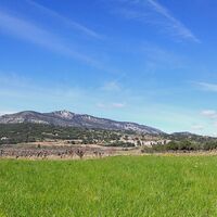 oenorando st saturnin 14 @ Gilles Delerue
