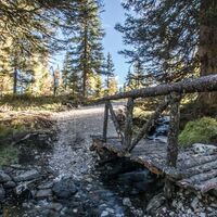 Holzbrücke über Waldbach