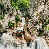 Klettersteig Röbischlucht