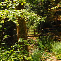 Hochwechsel - Vorau