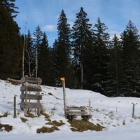 Brücke zur Walehütte - Schwefelbergbad Trail