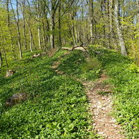 Aufstieg zum Anninger Schutzhaus