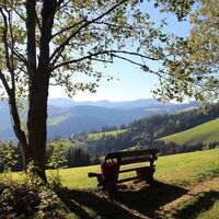 Ausblick Sommeralm vom Königskogel_Koglhof_Oststeiermark