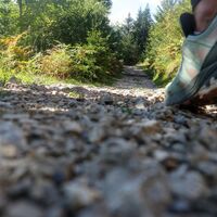 Nach der Eckenhütte, steiniger Abstieg