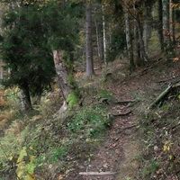 Aufstieg auf schmalen Pfaden