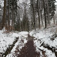 Weiter im winterlichen Wald