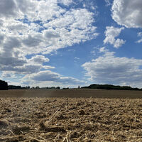 Grenzturm in der Ferne - Blick vom Stausee Schwickershausen