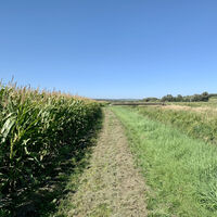 Schönkirchen-Reyersdorf, Weidenbachrunde