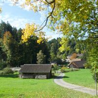 Weg nach Rohrbach - ViaJacobi Etappe 12