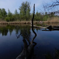 Freudenauer Hafen - Seestadt