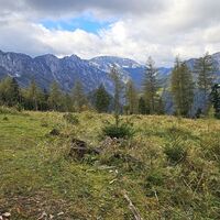 Blick aufs Sengsengebirge
