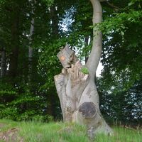 Sagenhafter Waldpfad - bei Lambsborn