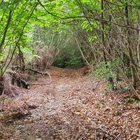 Trail zur Chiesa di San Paolo