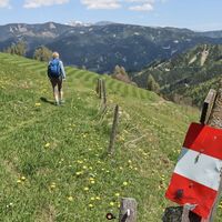 Der Weg führt uns über die Wiese