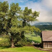 Aslingeralm