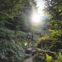 Scheffau_Weg Nr. 827_Hochegg_Wilder Kaiser