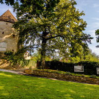 Stadtpark Hartberg in der Oststeiermark