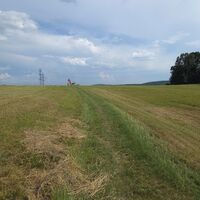 nahe beim Spierlkreuz