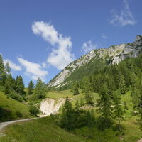 und weiter der Forststraße entlang