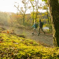 Wandern im Nationalpark Eifel