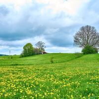 Wanderung Oberwarngau Taubenberg