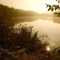 Salemer Klosterweiher
