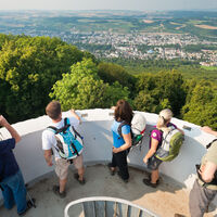 AhrSteig Neuenahrer-Berg