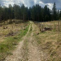 Hier gelangten wir wieder auf den Aufstiegsweg