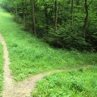 Salzgitter Höhenzug, Wanderweg22 Umgehung steiler Aufstieg Gasleitungsschneise