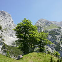 schöne Aussichten
