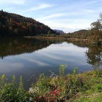 Großer Treimischer Teich mit Blick nach Westen - am Weg zum Stift Viktring
