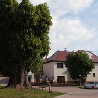 Dorflinden in Wettelrode