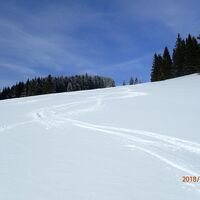Abfahrt vom Tirolerkogel