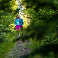 Waldweg zum Hutwisch